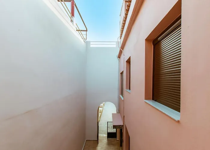 Krinis Next The Old Harbour *